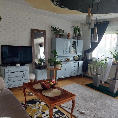 Alterra Apartment,13 Legionowa Street, Flat, Mieszkanie 41 Μπιάλιστοκ Εξωτερικό φωτογραφία
