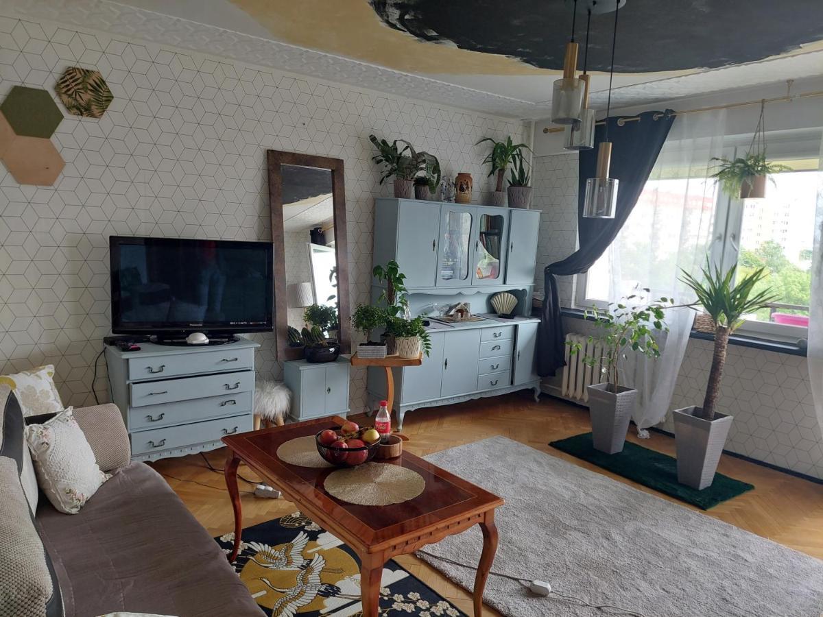Alterra Apartment,13 Legionowa Street, Flat, Mieszkanie 41 Μπιάλιστοκ Εξωτερικό φωτογραφία