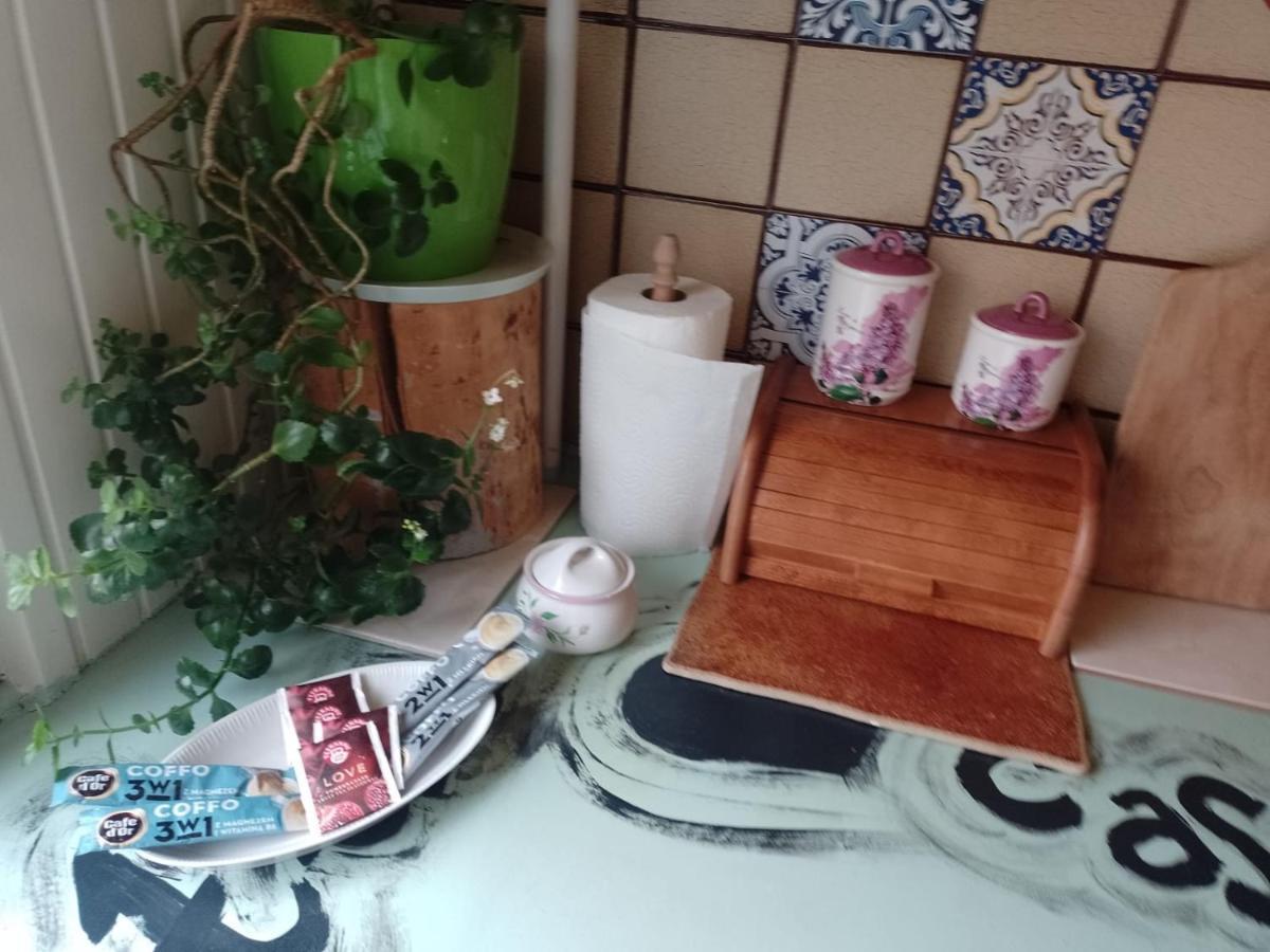 Alterra Apartment,13 Legionowa Street, Flat, Mieszkanie 41 Μπιάλιστοκ Εξωτερικό φωτογραφία